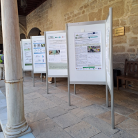 25 09 25 ICSOC25 Foto 2b