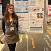 25 10 14-17 NIZO 1.jpg