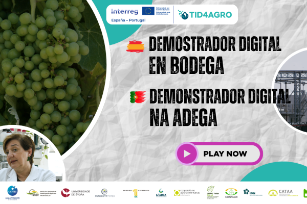 Avances: Demostrador digital en bodega