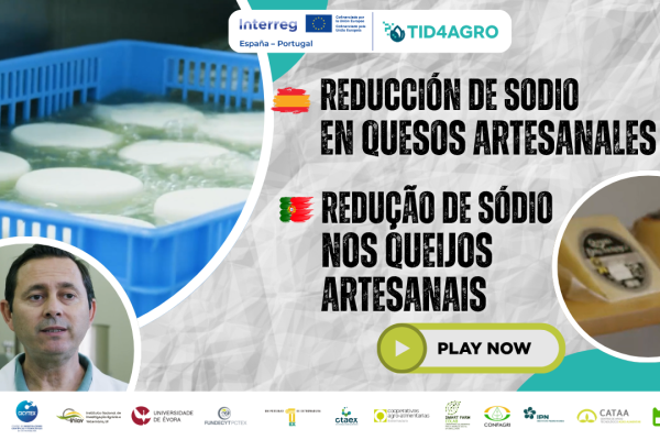 Avances: Reducción de sodio en quesos artesanales